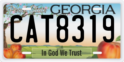 GA license plate CAT8319