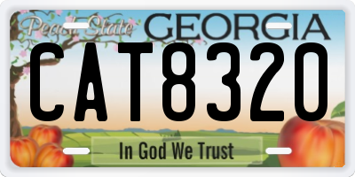 GA license plate CAT8320