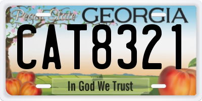 GA license plate CAT8321