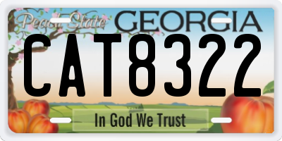 GA license plate CAT8322