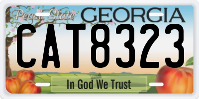 GA license plate CAT8323