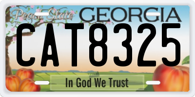GA license plate CAT8325