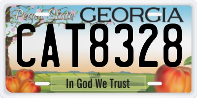 GA license plate CAT8328