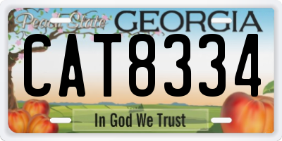 GA license plate CAT8334