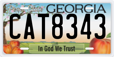 GA license plate CAT8343