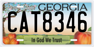 GA license plate CAT8346