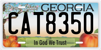 GA license plate CAT8350