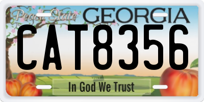 GA license plate CAT8356