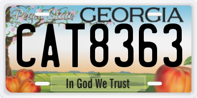 GA license plate CAT8363