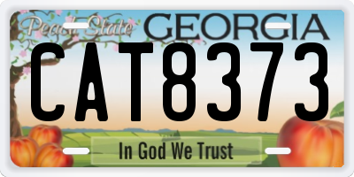 GA license plate CAT8373