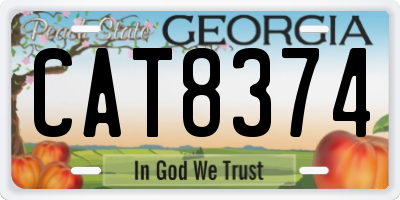 GA license plate CAT8374