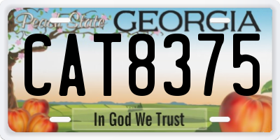 GA license plate CAT8375