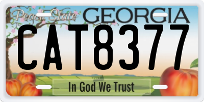 GA license plate CAT8377
