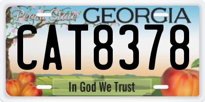 GA license plate CAT8378