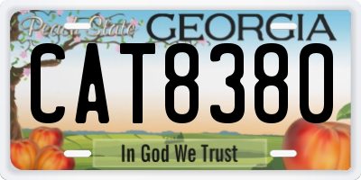 GA license plate CAT8380