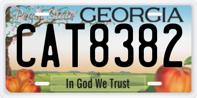 GA license plate CAT8382