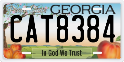 GA license plate CAT8384