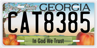 GA license plate CAT8385