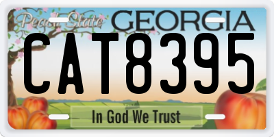 GA license plate CAT8395