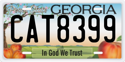 GA license plate CAT8399