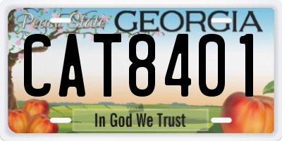 GA license plate CAT8401