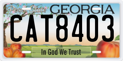 GA license plate CAT8403