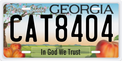 GA license plate CAT8404