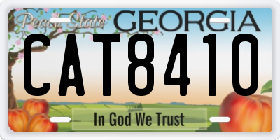 GA license plate CAT8410