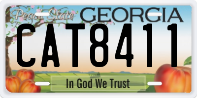 GA license plate CAT8411