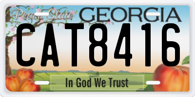 GA license plate CAT8416