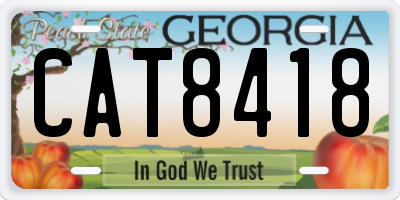 GA license plate CAT8418