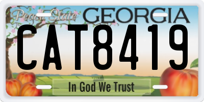GA license plate CAT8419