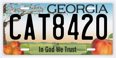 GA license plate CAT8420