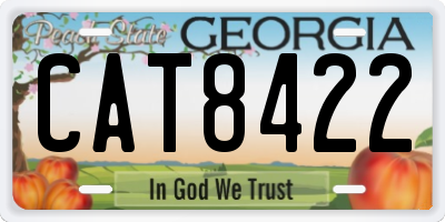 GA license plate CAT8422