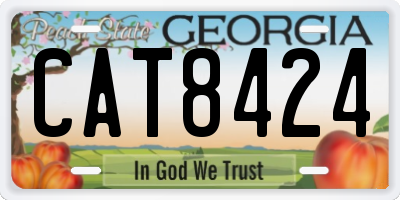GA license plate CAT8424