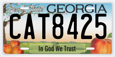 GA license plate CAT8425
