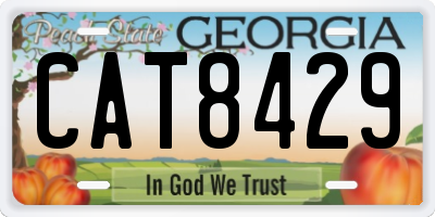 GA license plate CAT8429