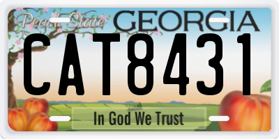 GA license plate CAT8431