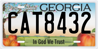 GA license plate CAT8432