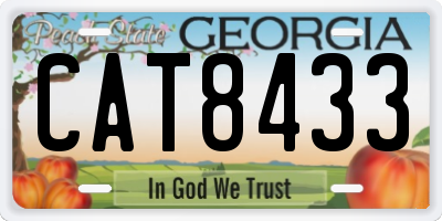 GA license plate CAT8433
