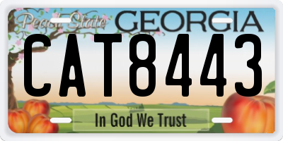 GA license plate CAT8443