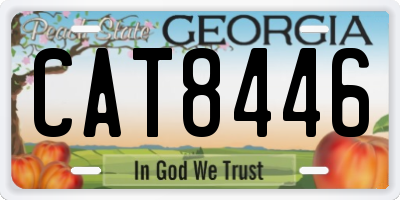 GA license plate CAT8446