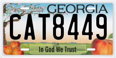 GA license plate CAT8449