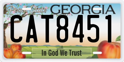GA license plate CAT8451