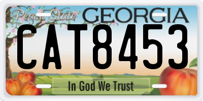GA license plate CAT8453
