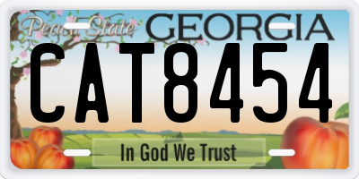 GA license plate CAT8454