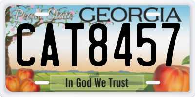 GA license plate CAT8457