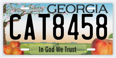 GA license plate CAT8458
