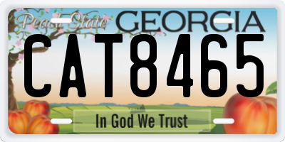 GA license plate CAT8465