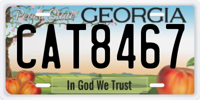 GA license plate CAT8467